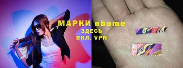 прущие грибы Алзамай