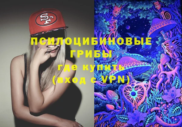 дживик Алексин