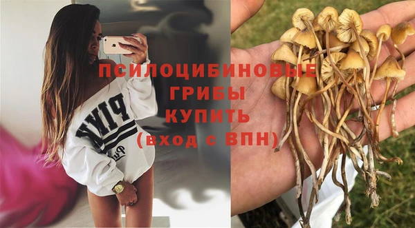 дживик Алексин