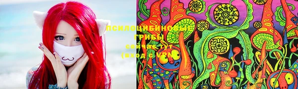 дживик Алексин