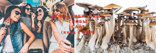прущие грибы Алзамай