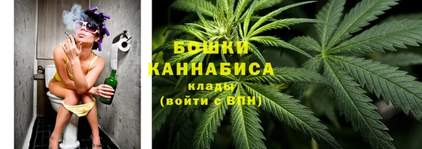 прущие грибы Алзамай