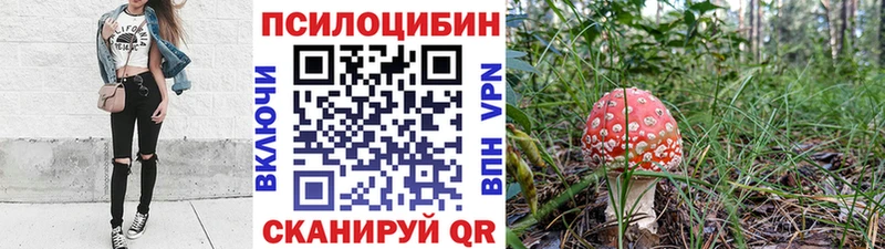 Галлюциногенные грибы Psilocybe Гаврилов Посад