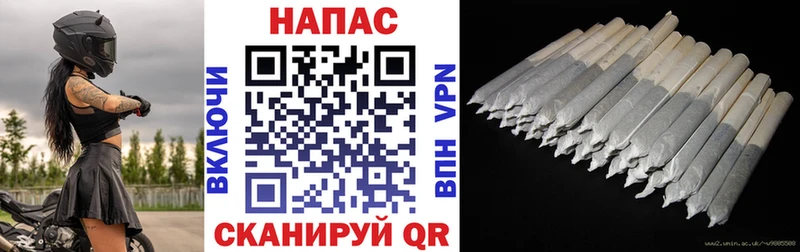 Шишки марихуана THC 21%  купить   Гаврилов Посад 